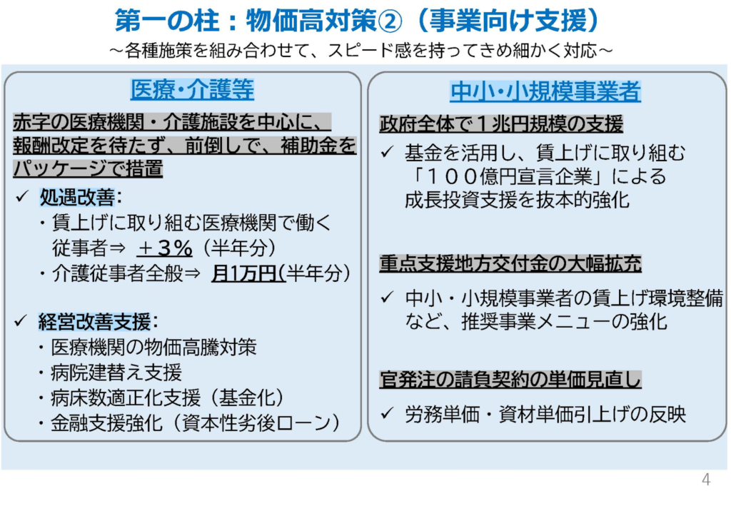img src="https://hojokin-shinsei.co.jp/wp-content/uploads/2026/02/image-1024x709.png" alt="第一の柱の説明スライド"